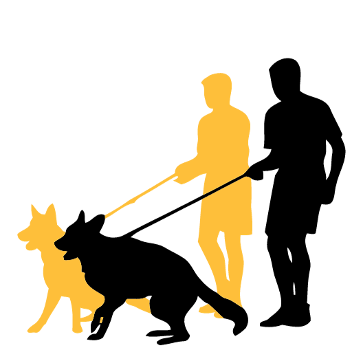 Fully trained protection dogs for sale (2)